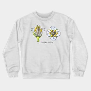 Arabidopsis thaliana Flower Illustration Crewneck Sweatshirt